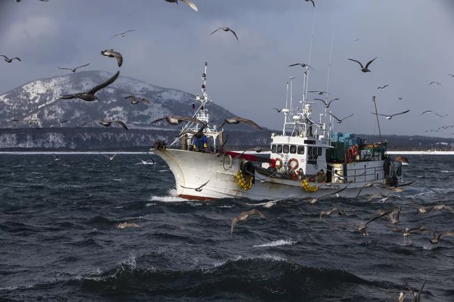 страны-импортеры рыбопродукция